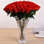 Special Red Roses